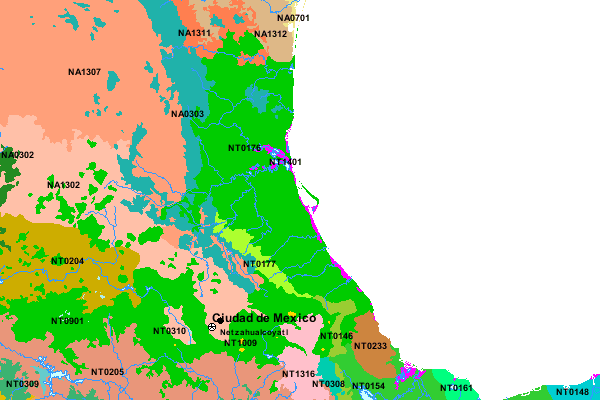 Veracruz moist forest